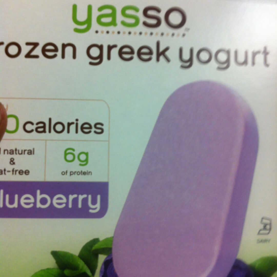 Yasso Frozen Greek Yogurt - Blueberry