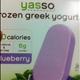 Yasso Frozen Greek Yogurt - Blueberry