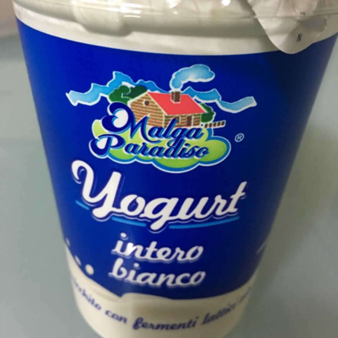 Malga Paradiso Yogurt Intero Bianco