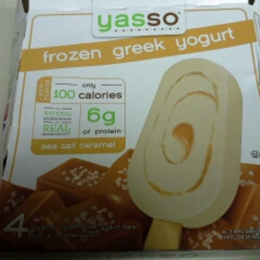 Yasso Frozen Greek Yogurt - Sea Salt Caramel