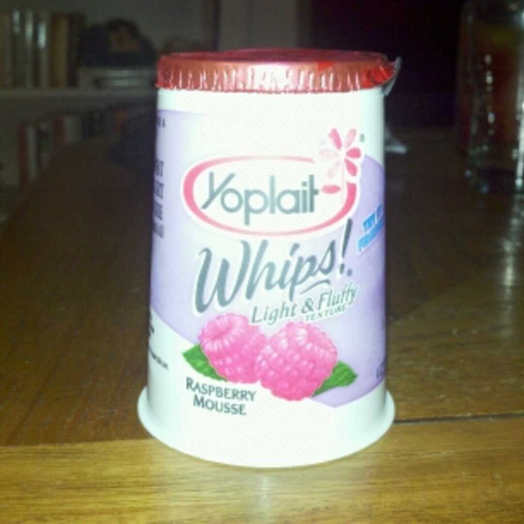 Yoplait Whips! Lowfat Yogurt Mousse - Raspberry Mousse