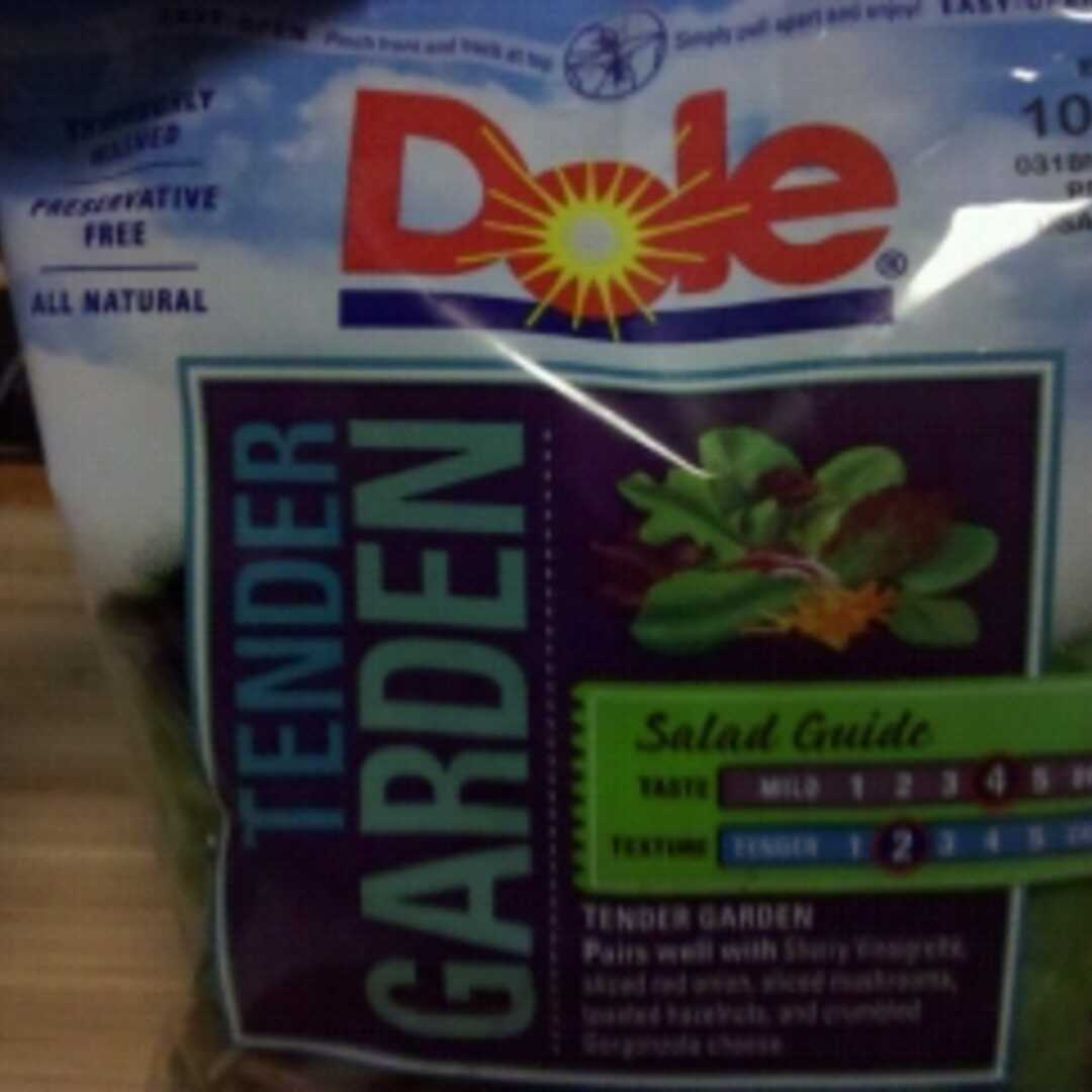 Dole Tender Garden Salad