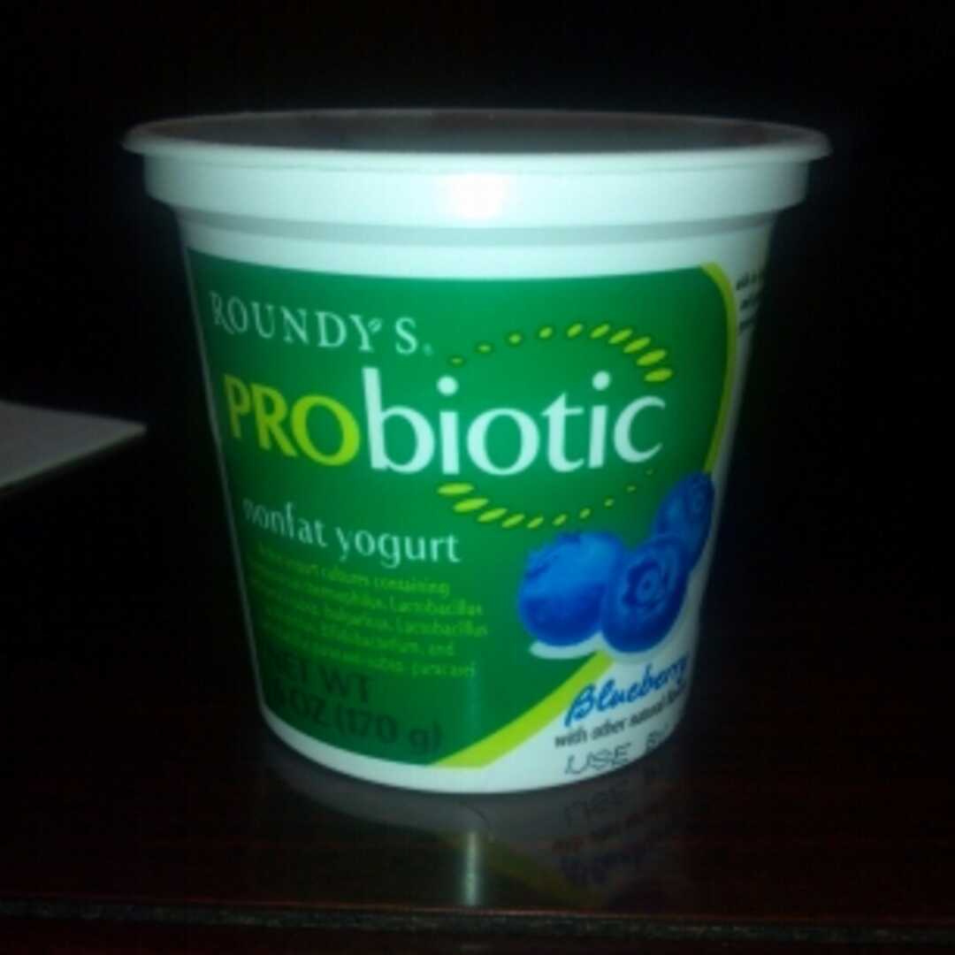Roundy's Light Fat Free Blueberry Yogurt