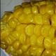 Yellow Sweet Corn (Kernels On Cob, Frozen)