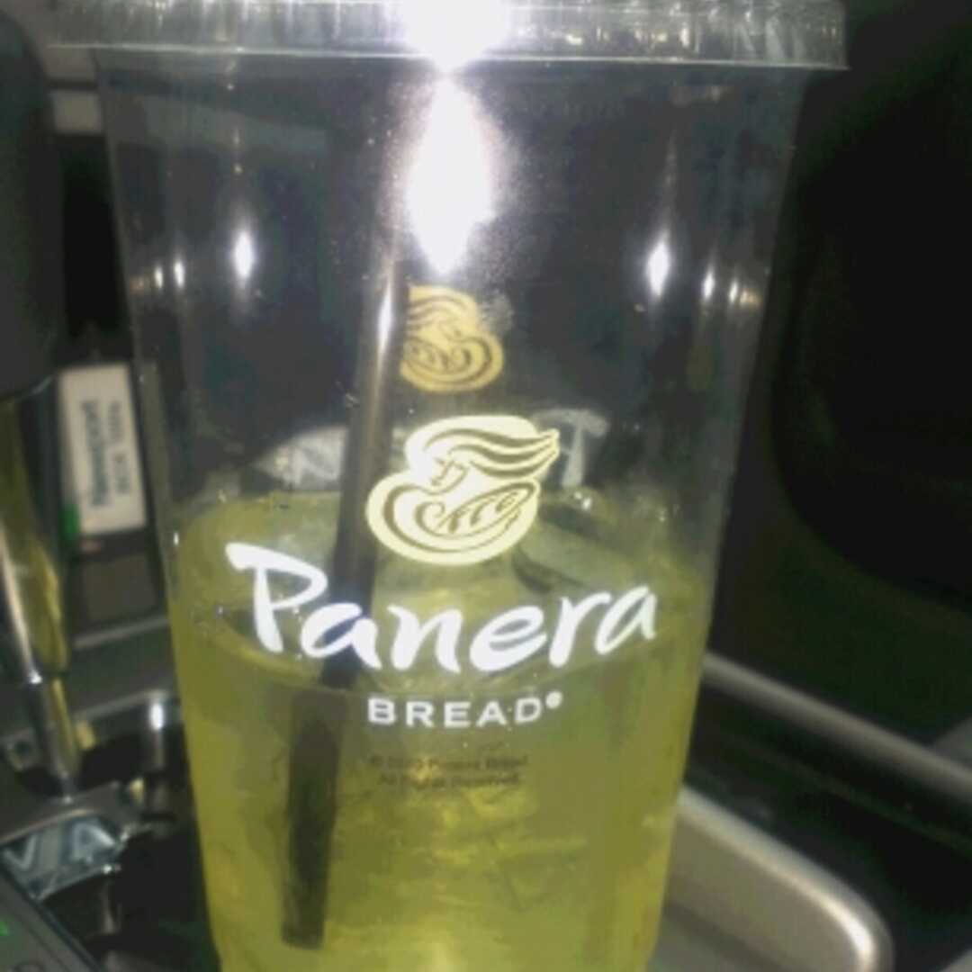 Panera Bread Iced Green Tea (Grande)