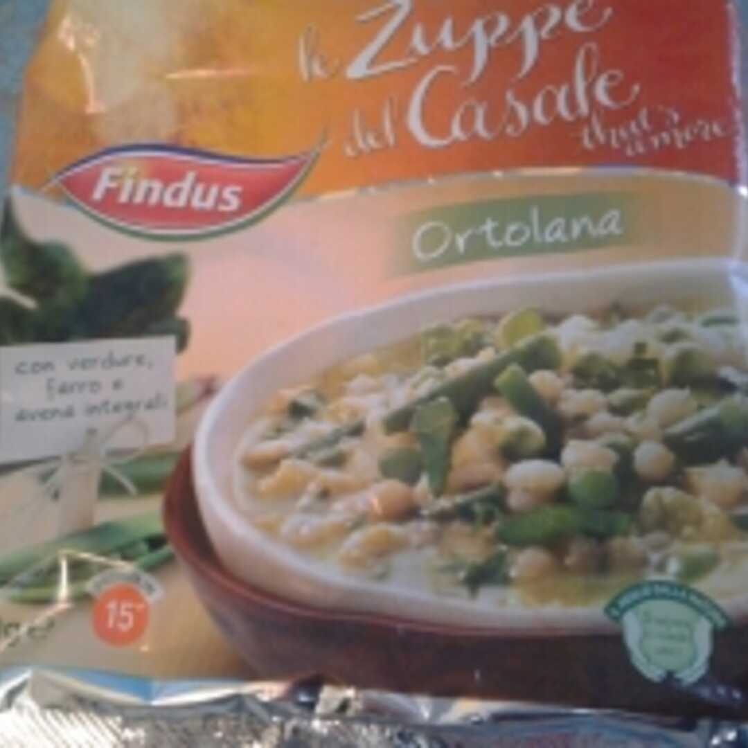 Findus Zuppa del Casale Ortolana