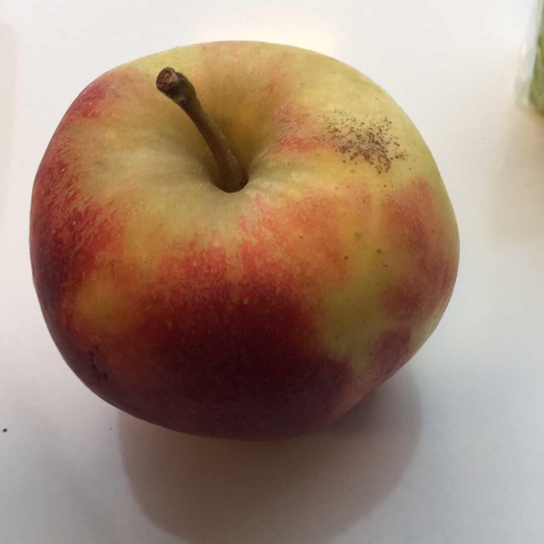 Appels (zonder Schil)