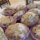 Muffins de Arándanos