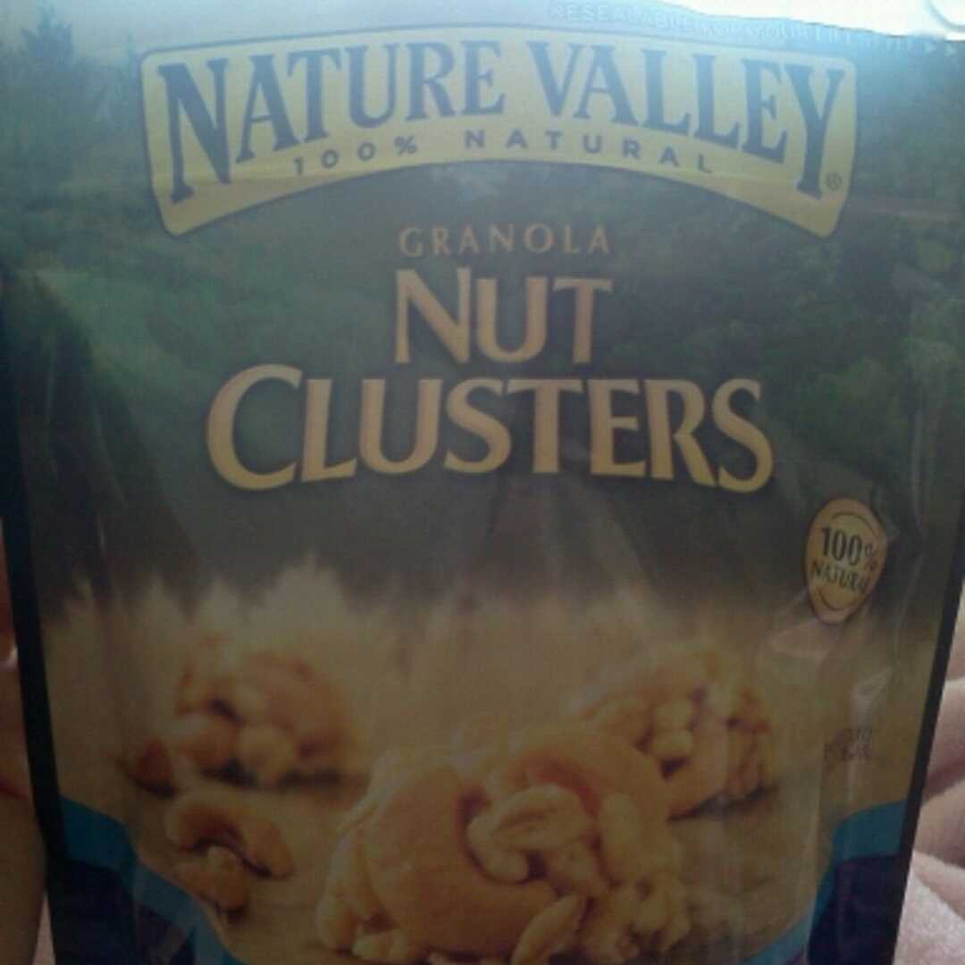Nature Valley Granola Nut Clusters - Roasted Cashew