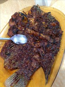 Grilled Fish