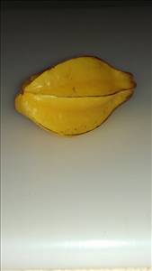 Carambola (Starfruit)