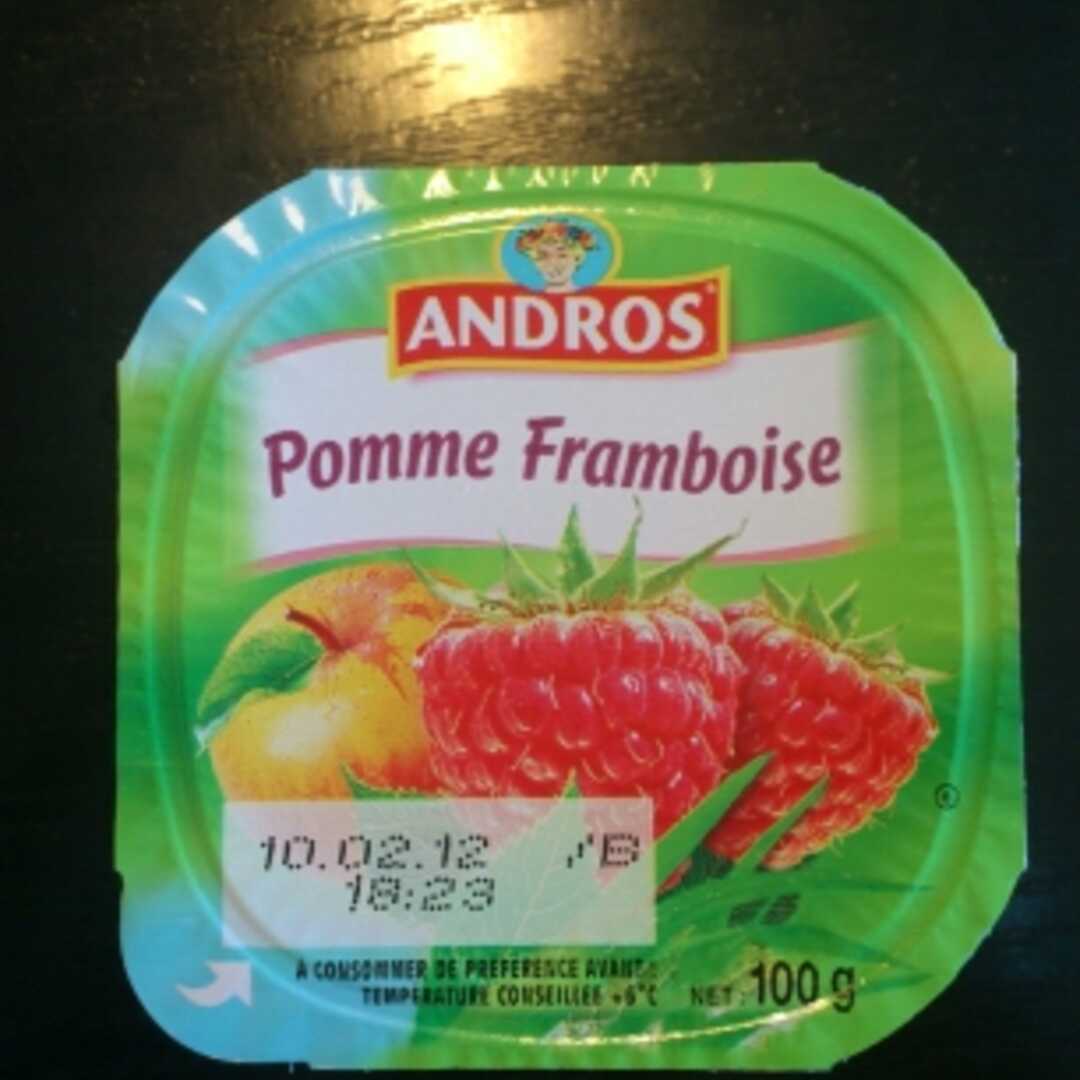 Andros Compote Pomme Framboise