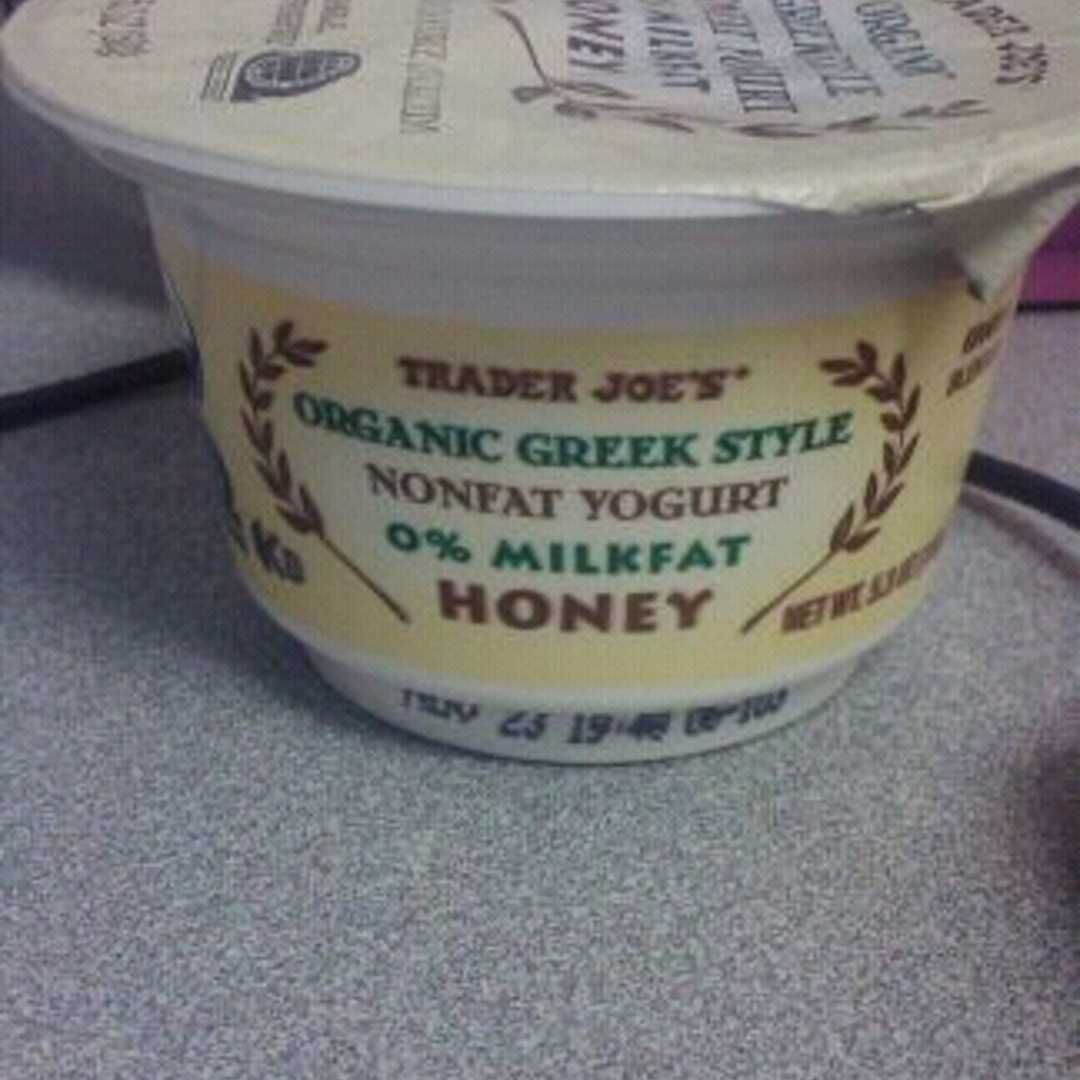 Trader Joe's Greek Style Nonfat Yogurt - Honey
