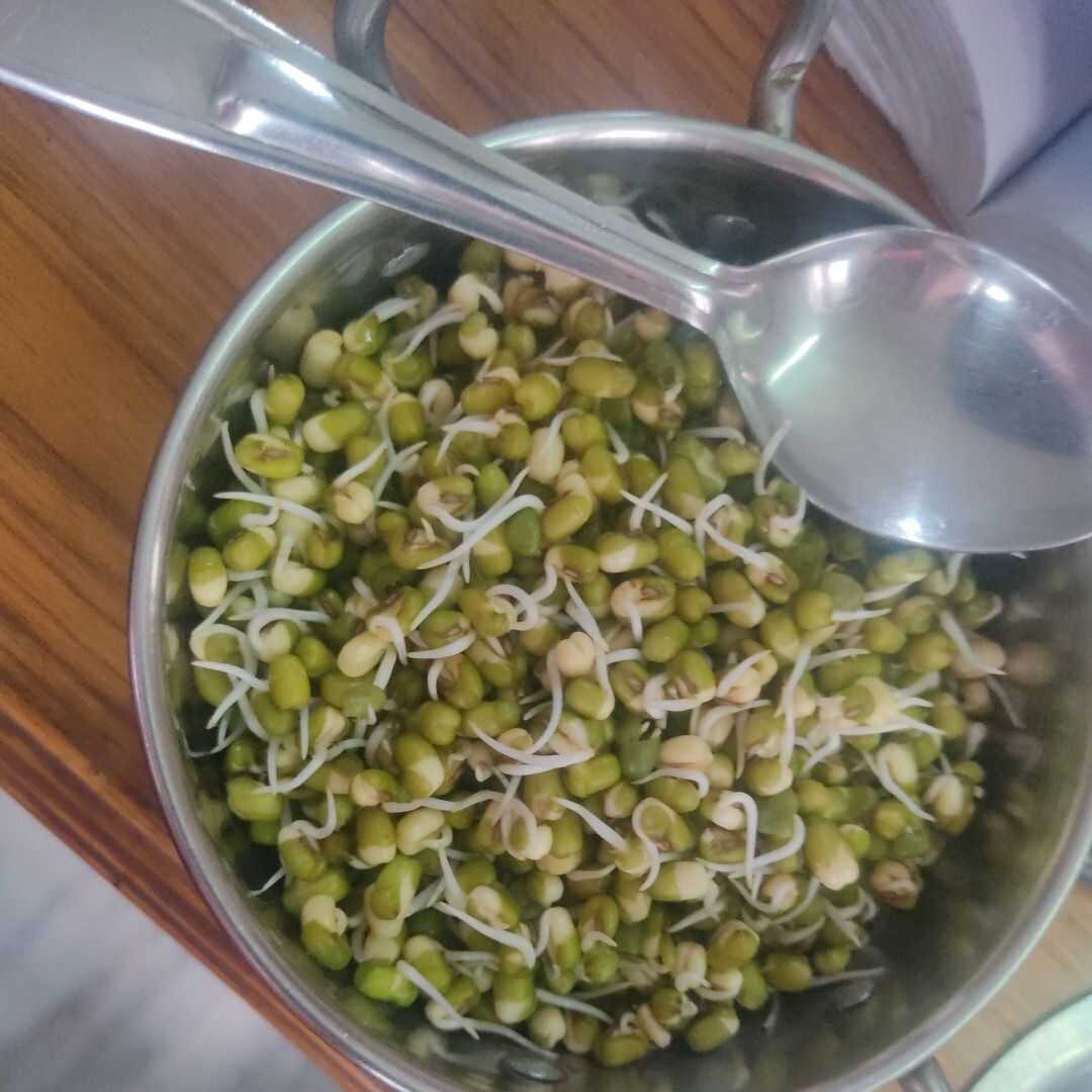 Mung Beans (Mature Seeds, Sprouted)