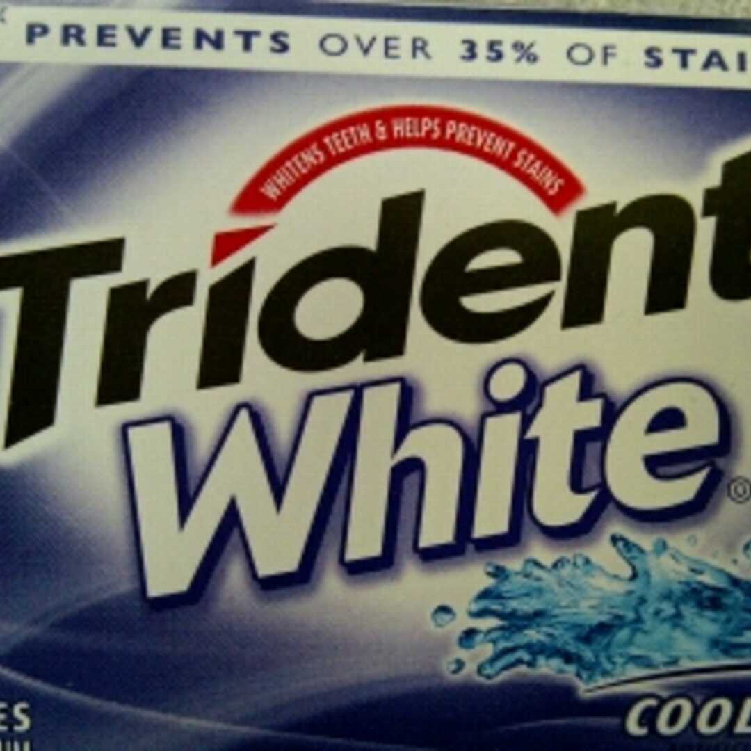 Trident White Spearmint Sugarless Gum