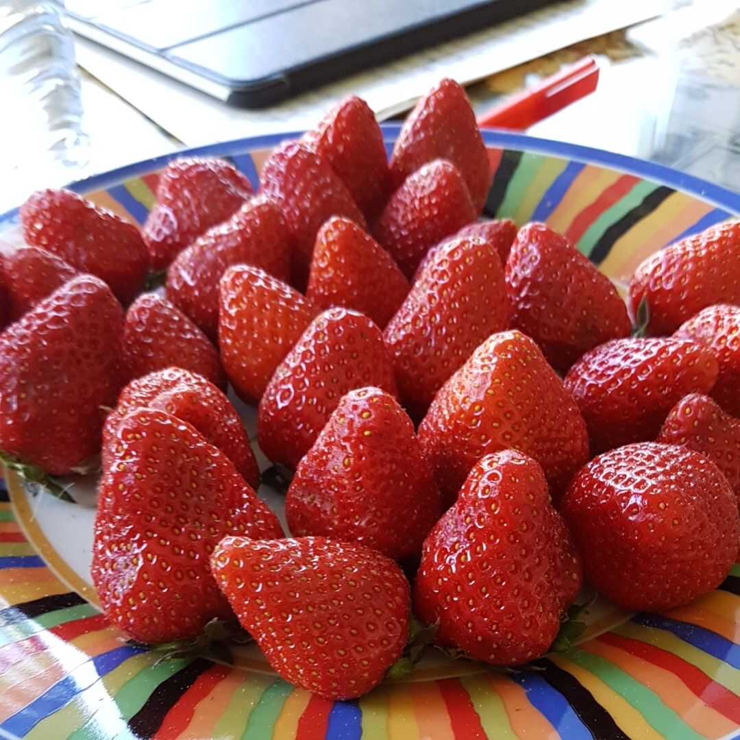 Erdbeeren mit Zucker