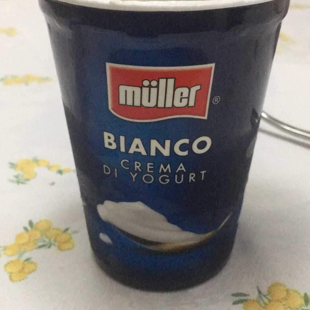 Bianco Crema di Yogurt