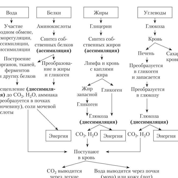 Превращение по схеме