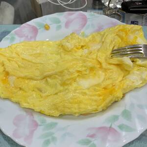 Egg Omelette or Scrambled Egg