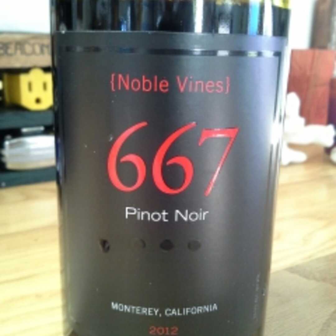 Pinot Noir Wine