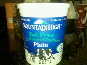 Mountain High Fat Free Plain Yoghurt