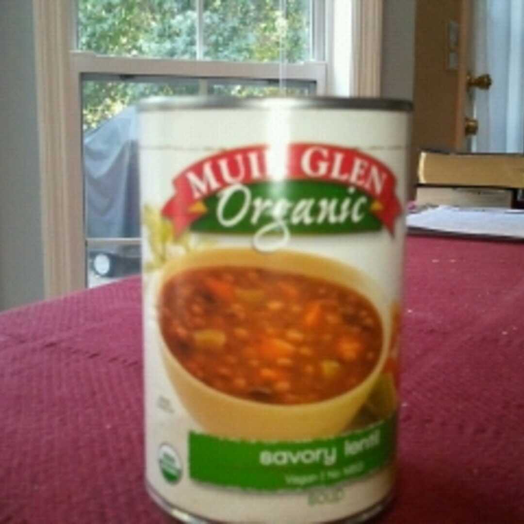 Muir Glen Savory Lentil Soup