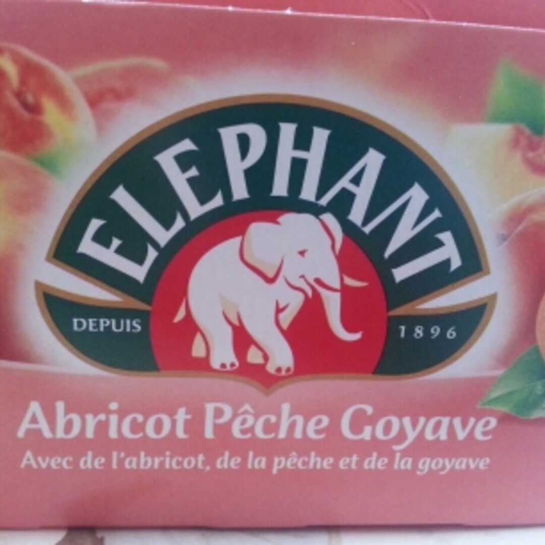 Elephant Infusion Abricot Pêche Goyave