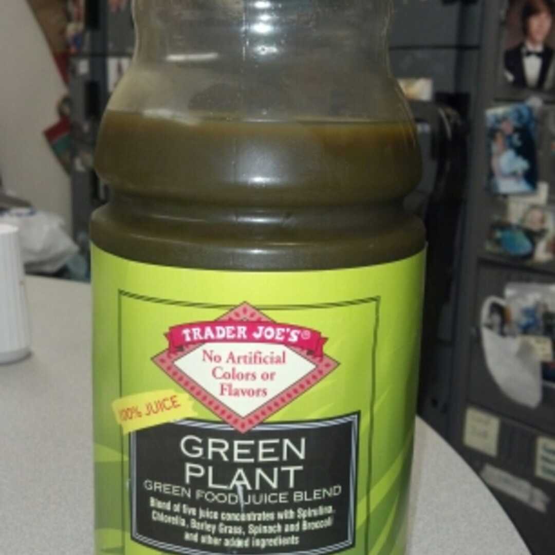 Trader Joe's Green Plant Green Food Beverage
