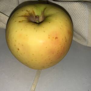 Manzanas Doradas Deliciosas