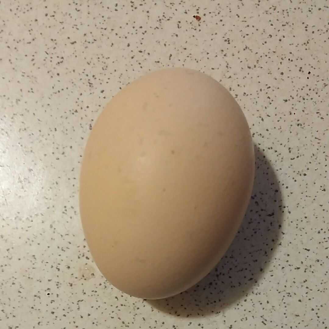 Jajko na Twardo