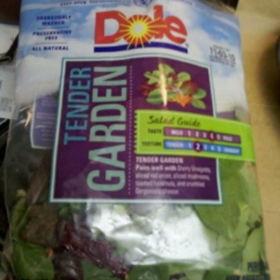 Dole Tender Garden Salad