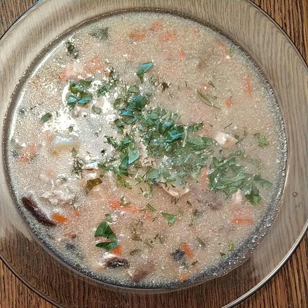 Zupa Grzybowa