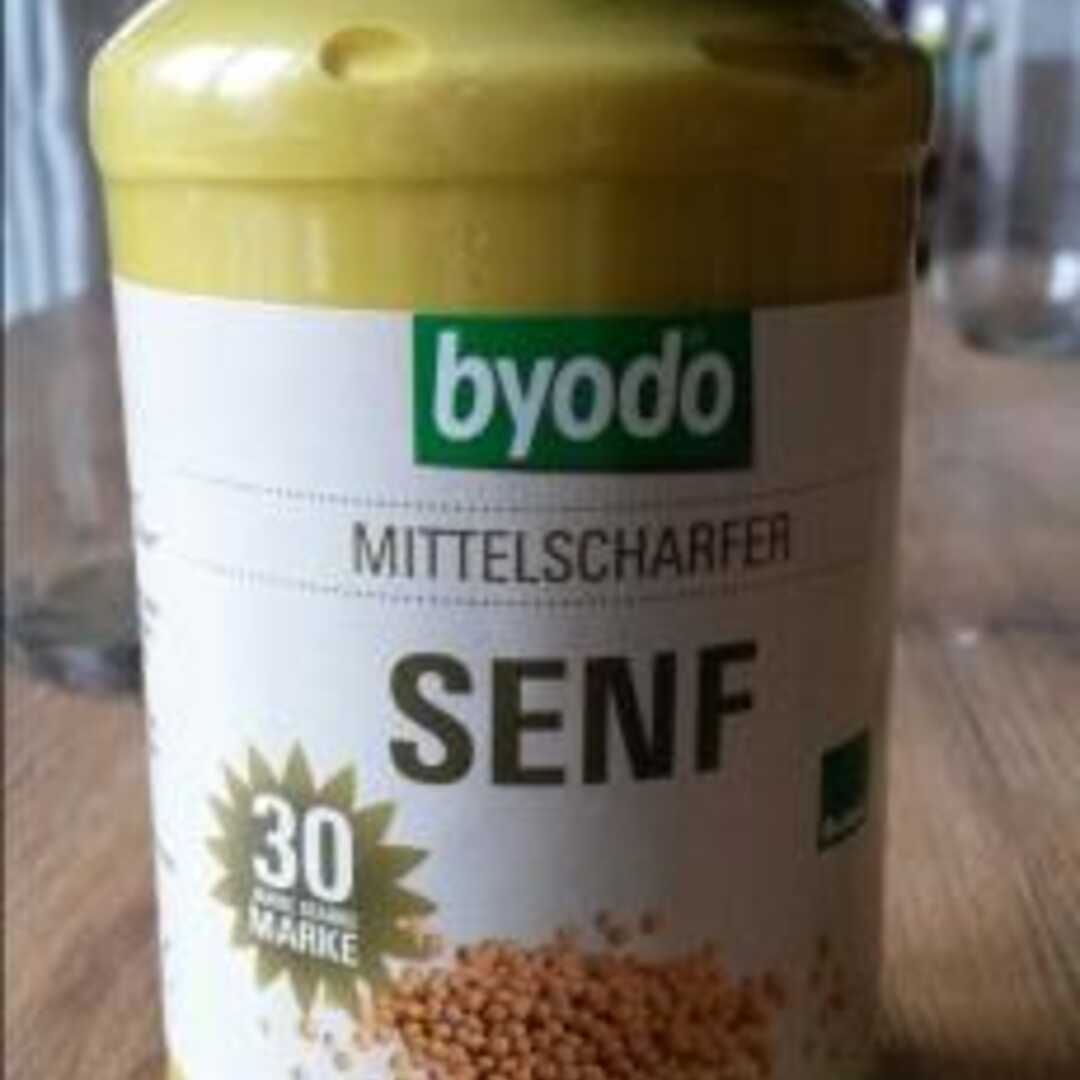 Byodo Mittelscharfer Senf