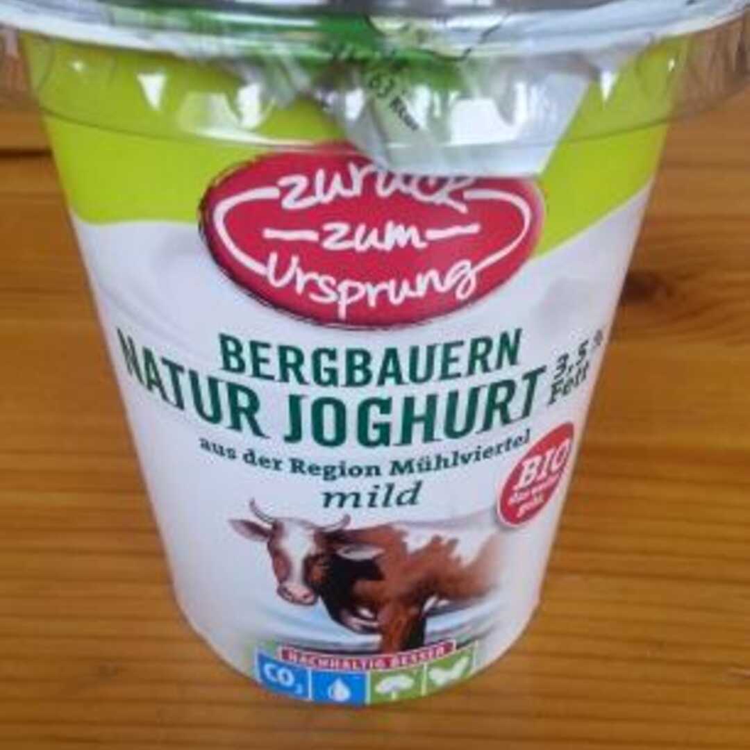 Zurück Zum Ursprung Bergbauern Naturjoghurt 3,5%