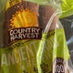 Country Harvest Ancient Grains Bread