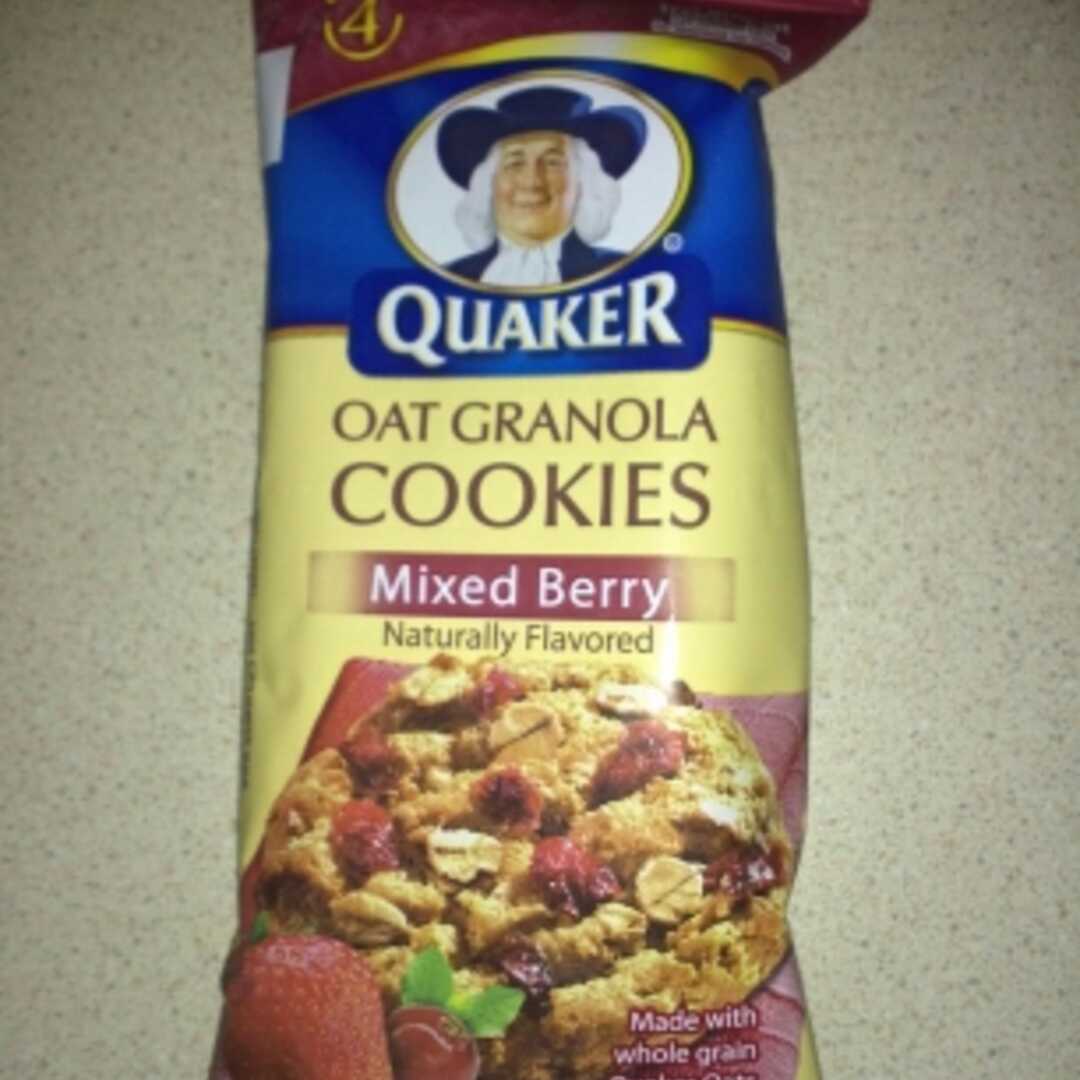 Quaker Oat Granola Cookies - Mixed Berry
