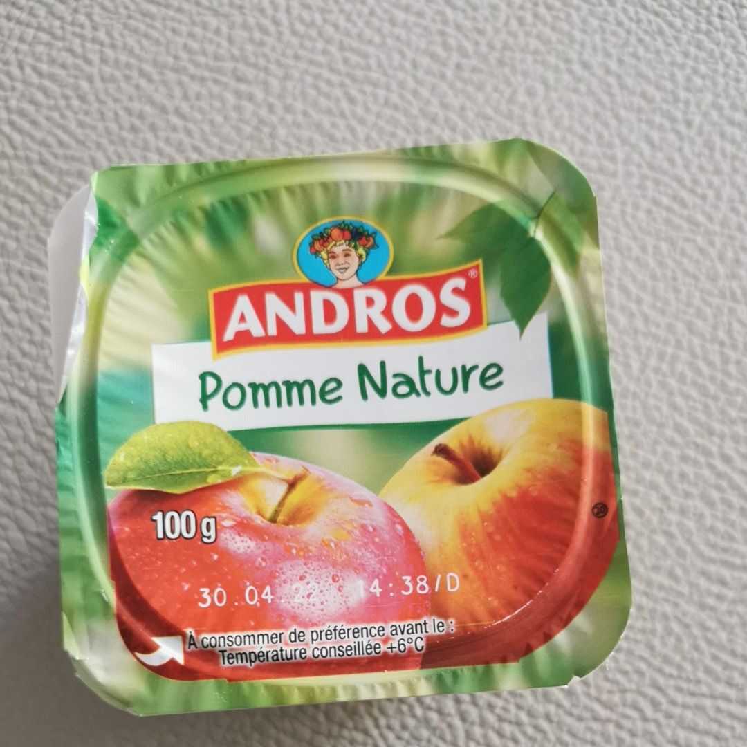 Andros Compote Pomme Nature