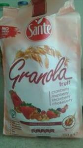 Sante Granola Fruit