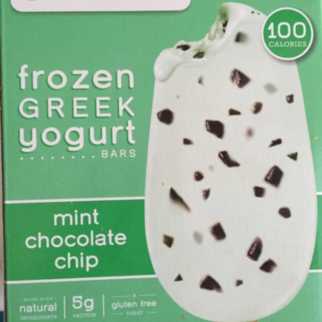 Yasso Frozen Greek Yogurt - Mint Chocolate Chip