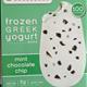 Yasso Frozen Greek Yogurt - Mint Chocolate Chip