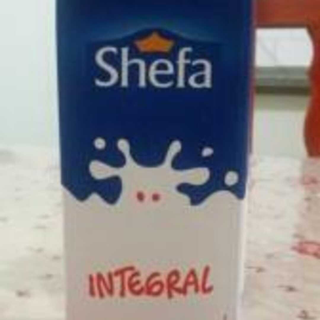 Shefa Leite Integral