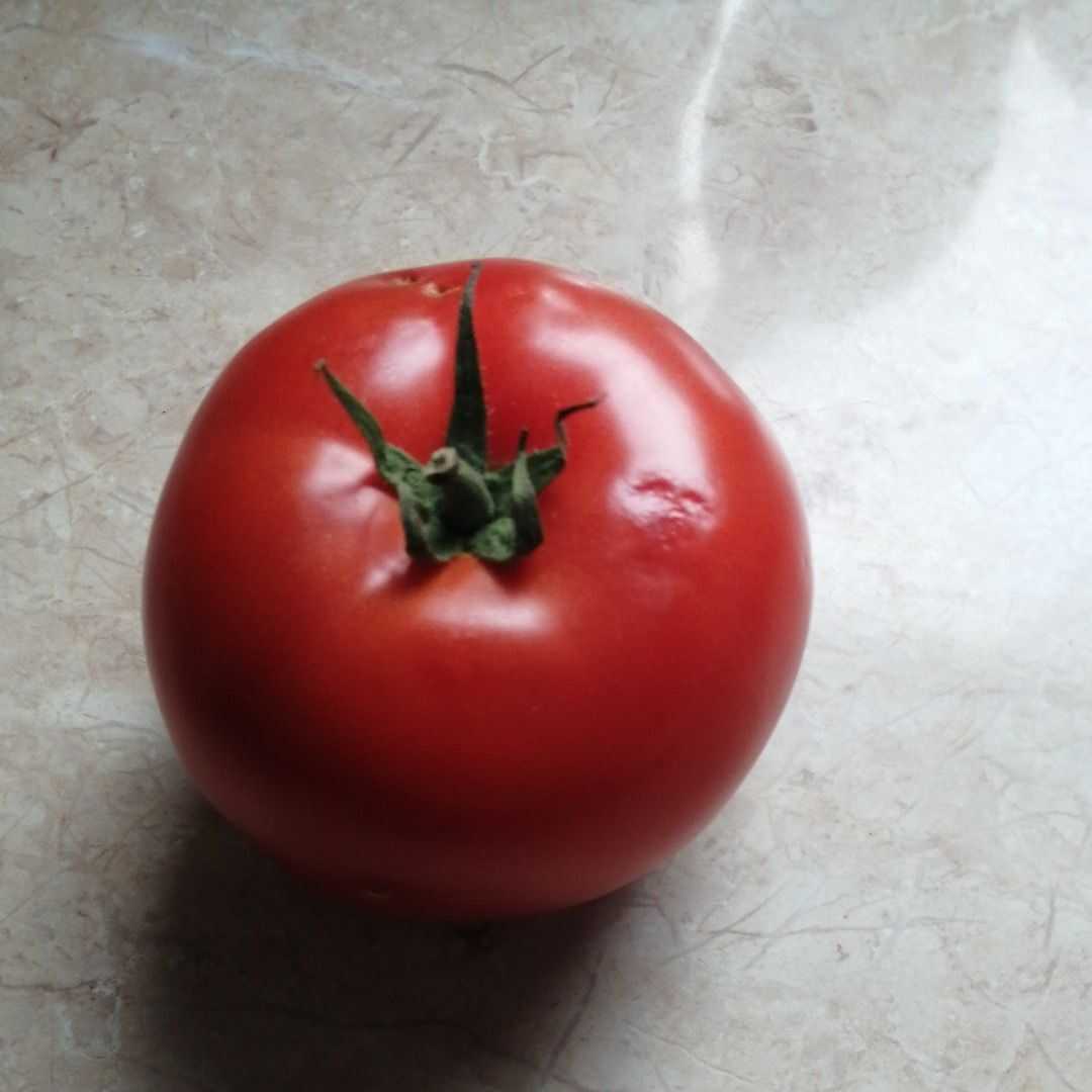 Czerwone Pomidory