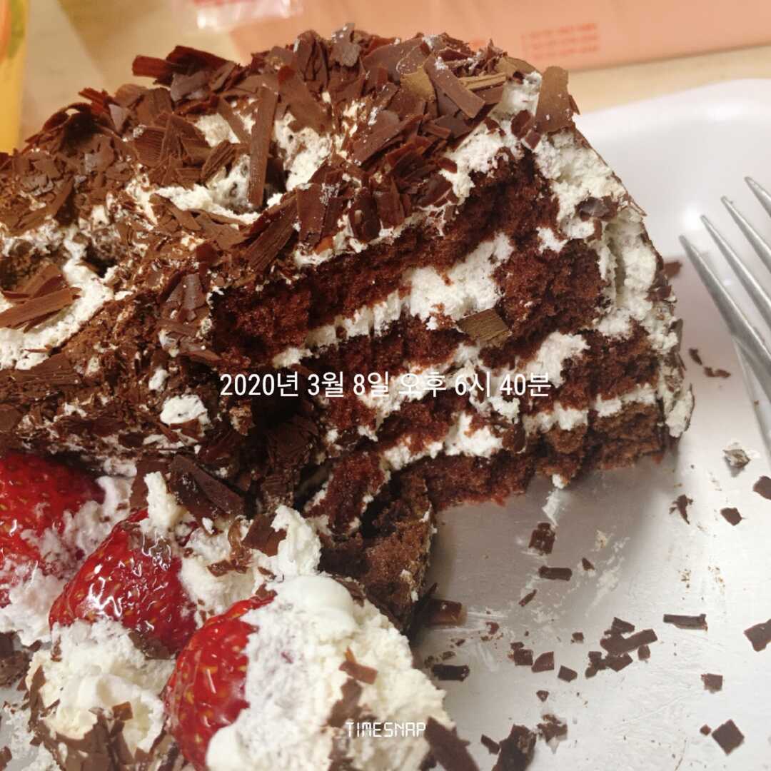 초콜릿 스폰지 케이크