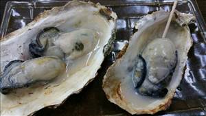 Baked or Broiled Oysters