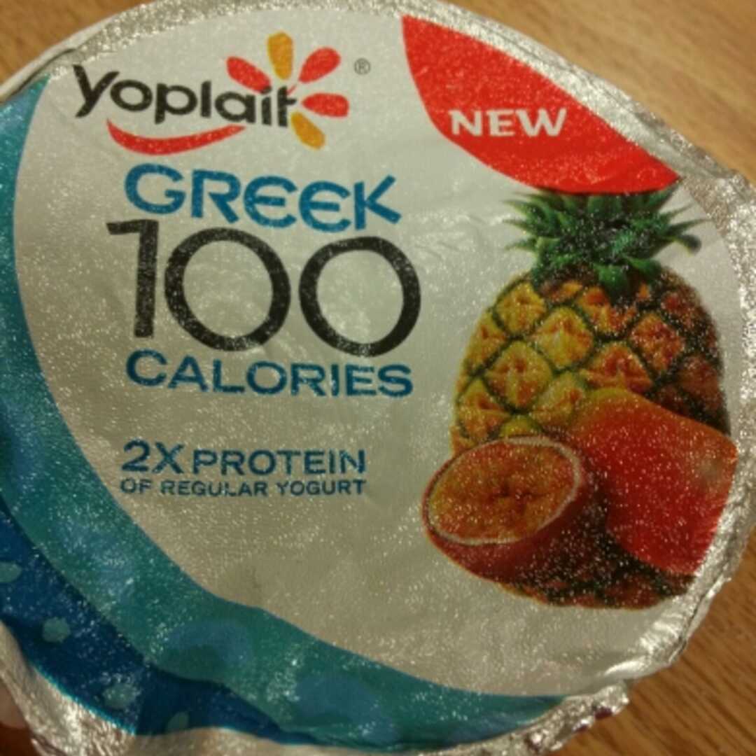 Yoplait Greek 100 Yogurt - Tropical Fruit
