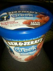 Ben & Jerry's Raspberry Fudge Chunk Greek Frozen Yogurt