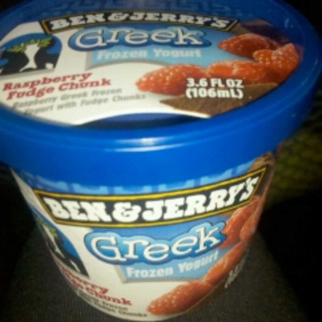 Ben & Jerry's Raspberry Fudge Chunk Greek Frozen Yogurt