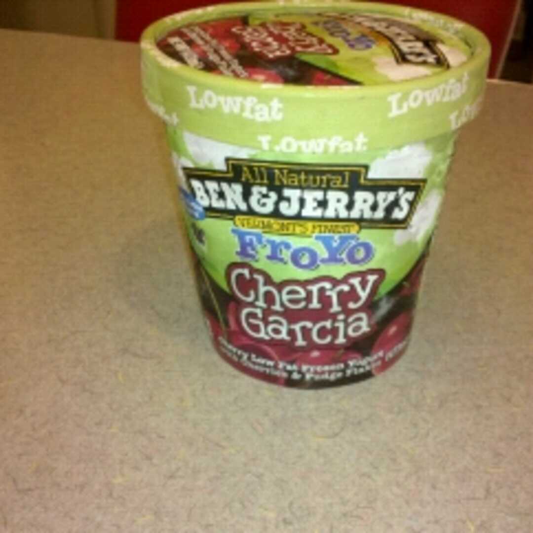 Ben & Jerry's Cherry Garcia Froyo Frozen Yogurt
