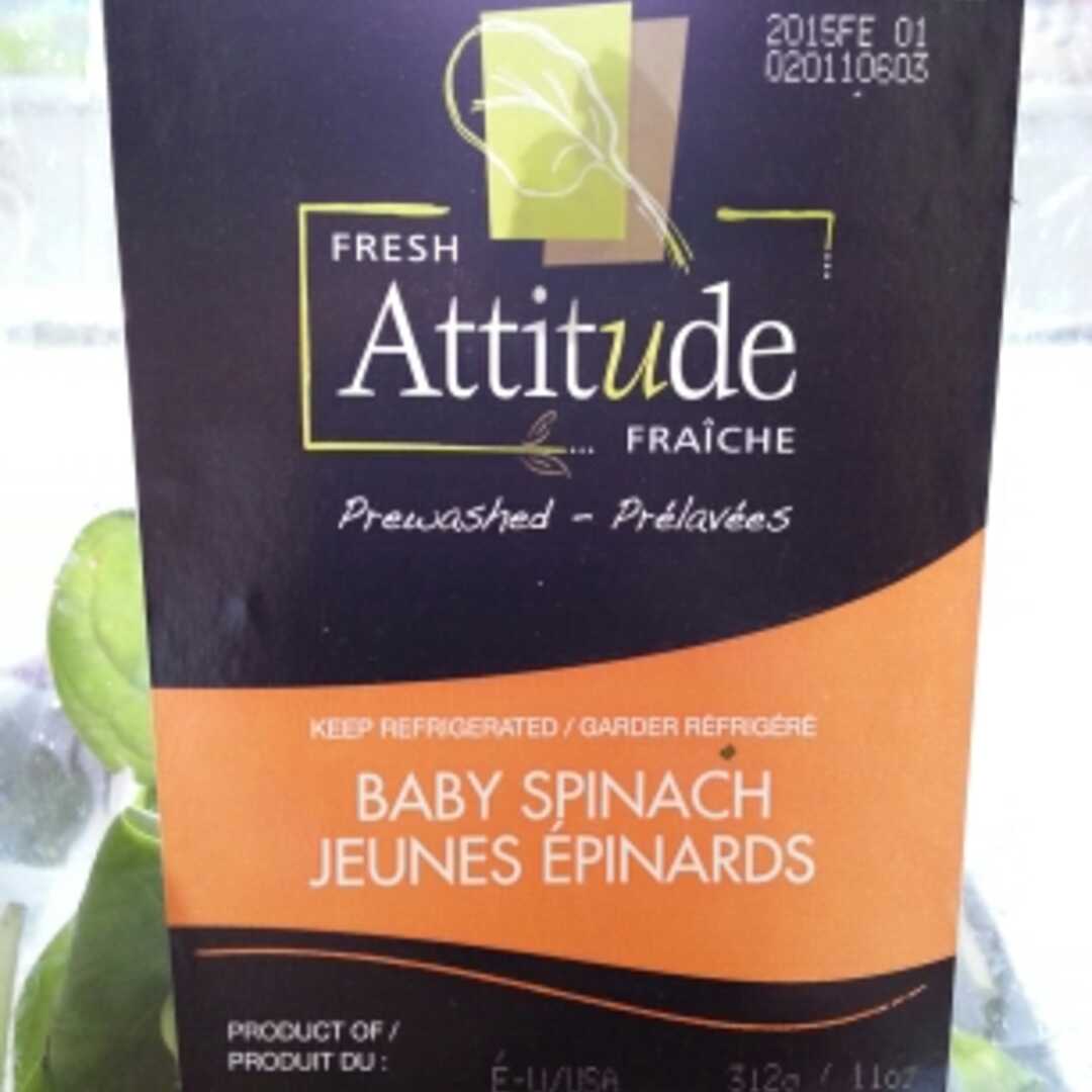Fresh Attitude Jeunes Épinards