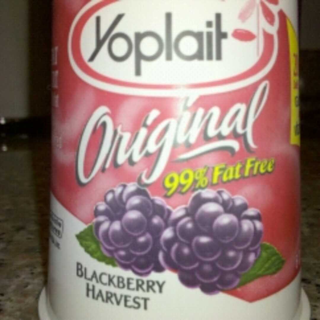 Yoplait Original 99% Fat Free Yogurt - Blackberry Harvest